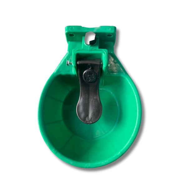 pirutyvissawyurebeliplastmasi_1735042432