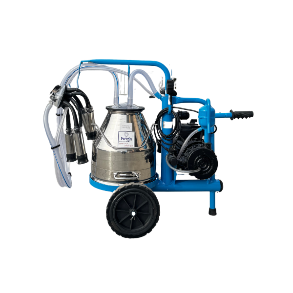 sawveliaparati1sistemiani20luJangavimetalisbidoniT9524_1737016013