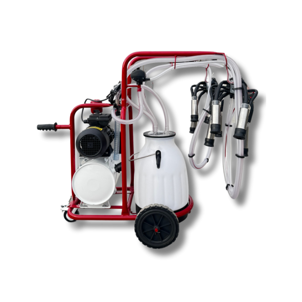 sawveliaparati2sistemiani30lplastmasisbidoniT3650_1737525927