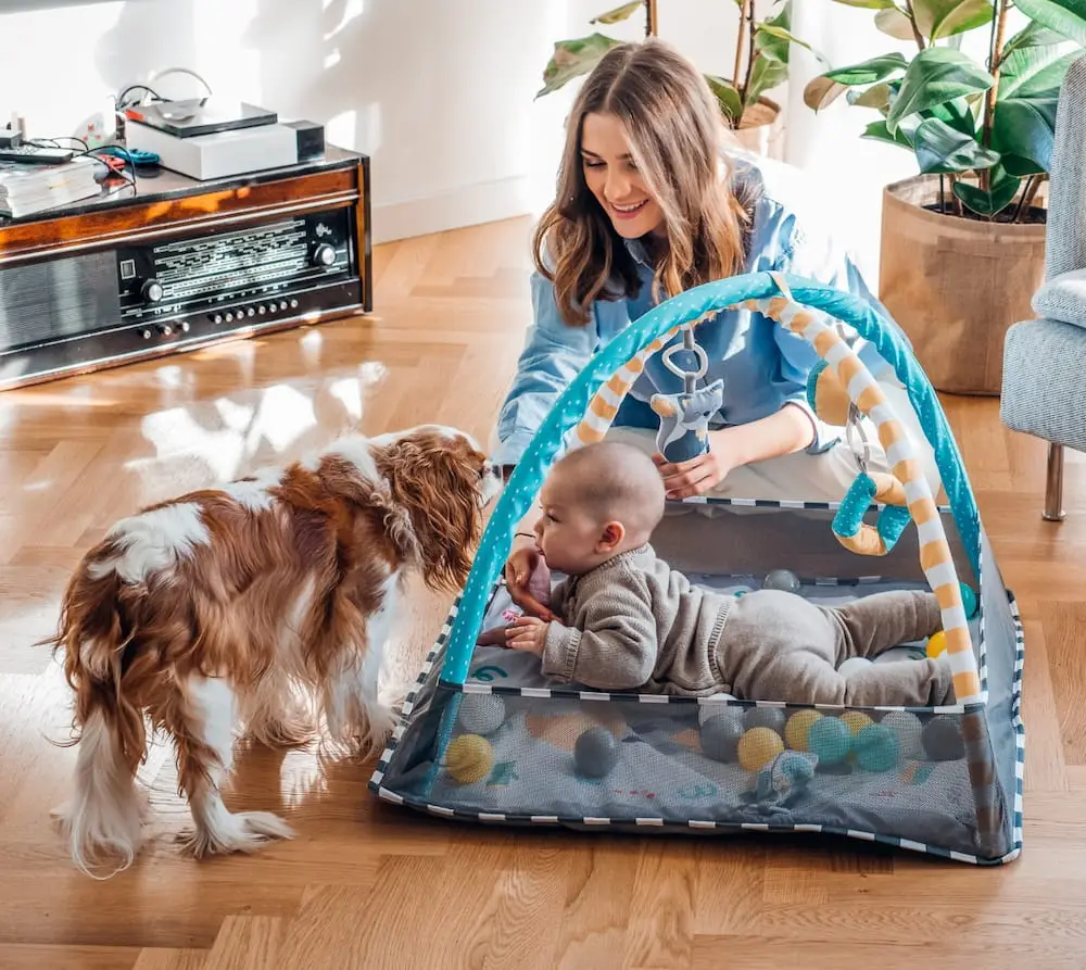 MoMi-play-mat-LAMMIS