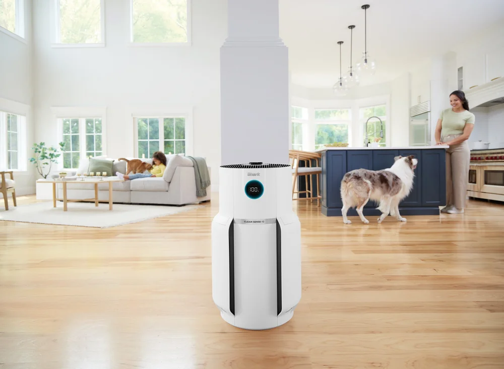 R_HP300UK_InUse_MultiRoom_Coverage_Cat_Dog_Girl_Woman (1)