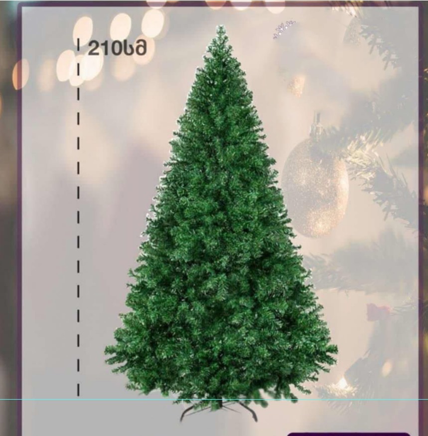 WhatsApp Image 2025-10-16 at 11.55.45_d59f6896