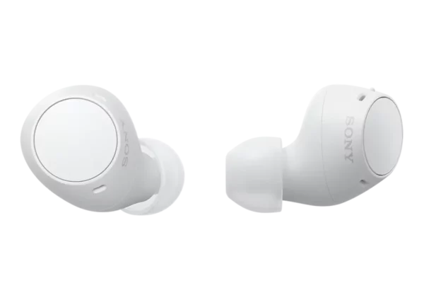 398f95a2-00ee-47e2-8596-c172040d49d3_Thumb