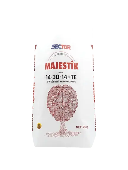 GLed8jyebMzSi7vZj5wR