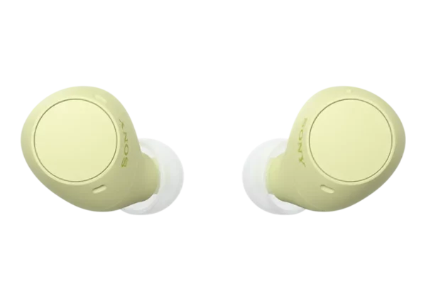 8b095d78-c231-4fcc-9469-8d72b03e26a8_Thumb